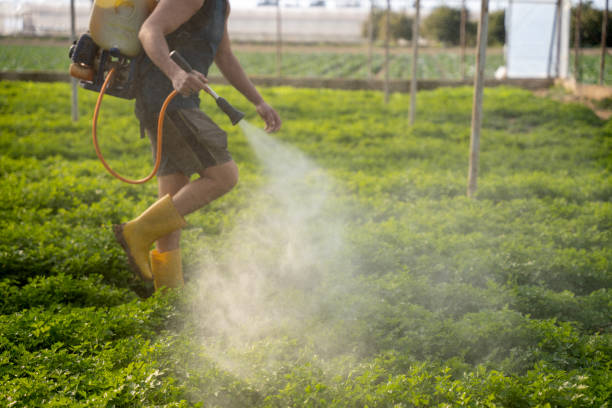 Pest Prevention Services in Arkoma, OK