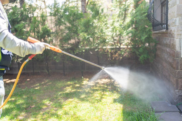 Best Ant Control Services  in Arkoma, OK
