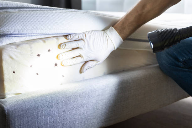Pest Control Cost in Arkoma, OK