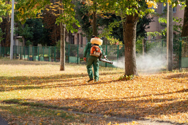 Best Local Pest Control Services  in Arkoma, OK