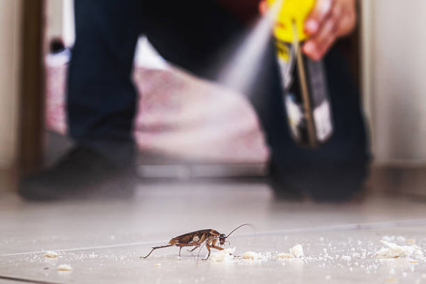 Best Insect Control  in Arkoma, OK