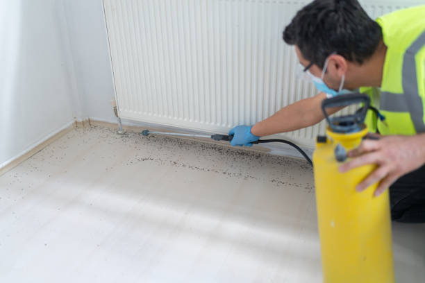 Best Cockroach Control Services  in Arkoma, OK