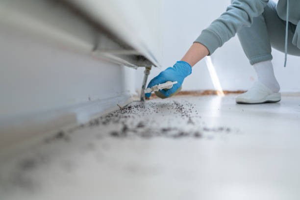 Best Best Pest Control Companies  in Arkoma, OK